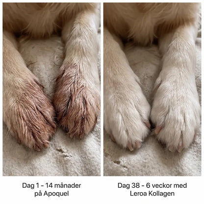 Leroa Premium Flytande Kollagen