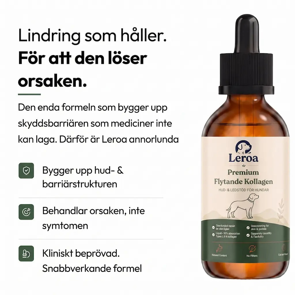 Leroa Premium Flytande Kollagen