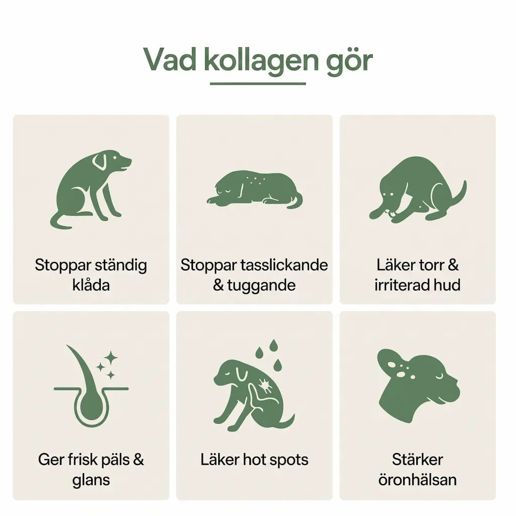 Leroa Premium Flytande Kollagen