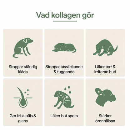 Leroa Premium Flytande Kollagen